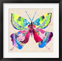 Framed 'Brilliant Butterfly I' border=
