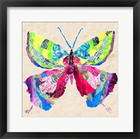 Framed 'Brilliant Butterfly I' border=