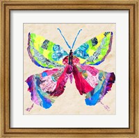 Framed Brilliant Butterfly I