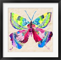 Framed 'Brilliant Butterfly I' border=