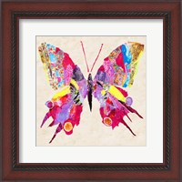 Framed Brilliant Butterfly II