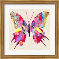 Framed Brilliant Butterfly II