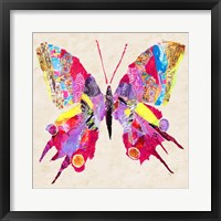 Brilliant Butterfly II Framed Print