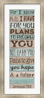 Framed Plans to GIve you Hope