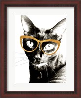 Framed Cool Kat