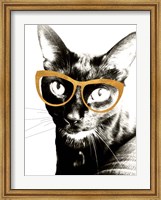 Framed Cool Kat
