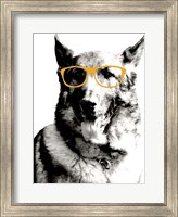 Framed Cool Dog