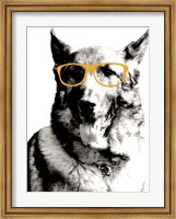 Framed Cool Dog