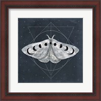 Framed 'Midnight Moth II' border=