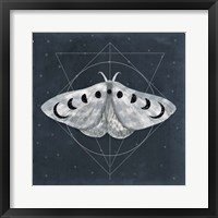 Framed 'Midnight Moth II' border=