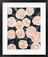 Peach Petals II Framed Print
