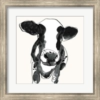 Framed Cow Contour II