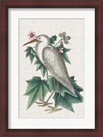 Framed Catesby Heron III