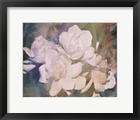 Framed Blush Gardenia Beauty I