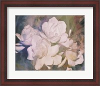 Framed Blush Gardenia Beauty I