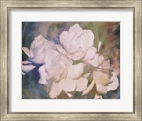 Framed Blush Gardenia Beauty I