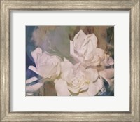 Framed Blush Gardenia Beauty II