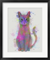 Framed Cat Rainbow Splash 4