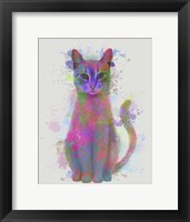 Framed Cat Rainbow Splash 4