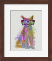 Framed Cat Rainbow Splash 5