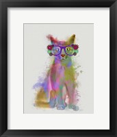 Framed Cat Rainbow Splash 5