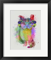 Framed Cat Rainbow Splash 6