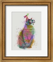 Framed Cat Rainbow Splash 11