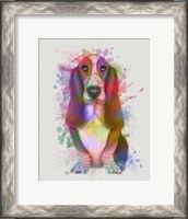 Framed Basset Hound Rainbow Splash