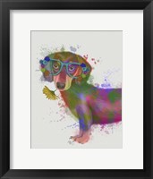 Framed Dachshund And Glasses Rainbow Splash