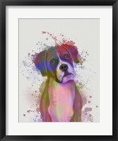 Framed Boxer 1 Portrait Rainbow Splash