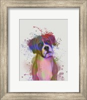 Framed Boxer 1 Portrait Rainbow Splash