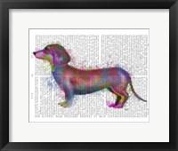 Framed Dachshund Rainbow Splash 1