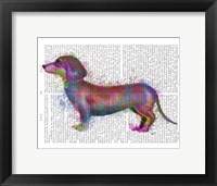 Framed Dachshund Rainbow Splash 1