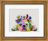 Framed English Bulldog and Birds, Rainbow Splash