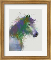 Framed Horse Portrait 1 Rainbow Splash