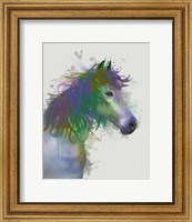 Framed Horse Portrait 1 Rainbow Splash