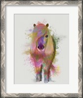 Framed Pony 1 Full Rainbow Splash