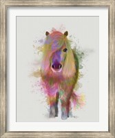 Framed Pony 1 Full Rainbow Splash