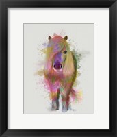 Framed Pony 1 Full Rainbow Splash