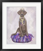 Framed Weimaraner on Purple Cushion