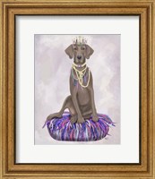 Framed Weimaraner on Purple Cushion