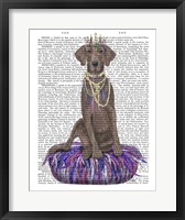 Framed Weimaraner on Purple Cushion