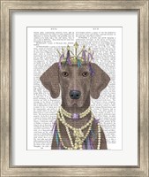 Framed Weimaraner with Tiara