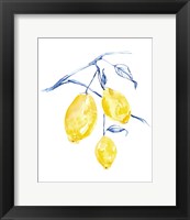 Framed Watercolor Lemons I