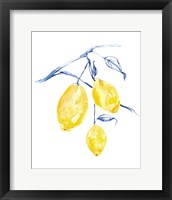 Framed 'Watercolor Lemons I' border=