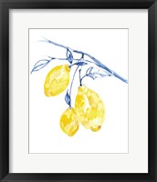 Framed 'Watercolor Lemons II' border=