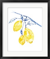 Watercolor Lemons II Framed Print