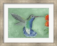 Framed Fresco Hummingbird I