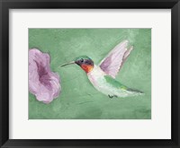 Fresco Hummingbird II Framed Print