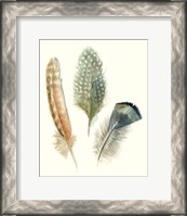Framed 'Watercolor Feathers I' border=